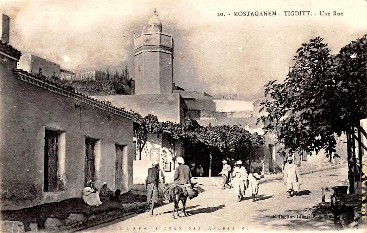Tidjit 004.jpg